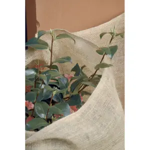 Jute winter cover Nortene image-3