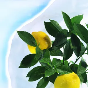 Funda de invierno y termómetro Nortene Hiver image-3