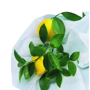 Funda de invierno y termómetro Nortene Hiver image-4