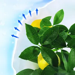 Funda de invierno y termómetro Nortene Hiver image-5