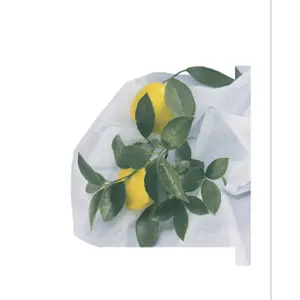 Funda con cremallera Nortene Hiver image-3