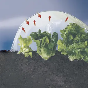 Película de forzado hortícola Nortene Clima Pro 70 image-2