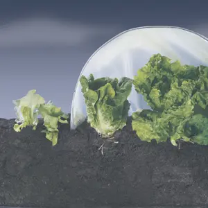 Película de forzado hortícola Nortene Clima Pro 70 image-4