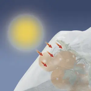 Malla de crecimiento para tomates PP Nortene Tomatex image-3