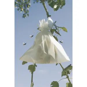 Funda de frutas en papel microperforado Nortene Fruitsac image-4