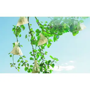 Funda de frutas en papel microperforado Nortene Fruitsac image-1
