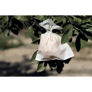 Funda de frutas en papel microperforado Nortene Fruitsac image-2