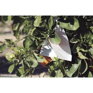 Funda de frutas en papel microperforado Nortene Fruitsac image-3