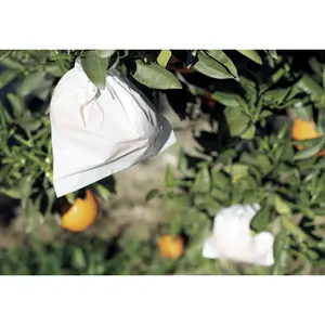 Funda de frutas en papel microperforado Nortene Fruitsac image-5
