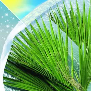 Bubble wrap Nortene Iso image-1