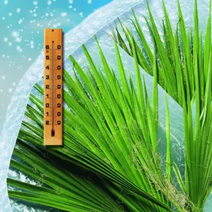 Bubble wrap Nortene Iso image-2