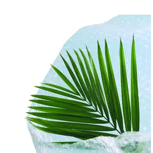 Bubble wrap Nortene Iso image-3