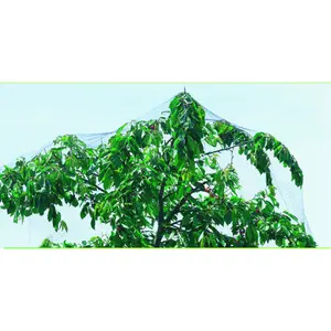 Red de protección para aves con malla bloqueada Nortene Easynet image-0