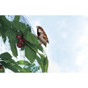 Red de protección para aves con malla bloqueada Nortene Easynet image-1