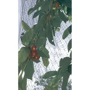 Red de protección para aves con malla bloqueada Nortene Easynet image-3