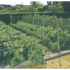 Filet à ramer Nortene Trellinet image-1