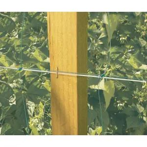 Filet à ramer Nortene Trellinet image-3