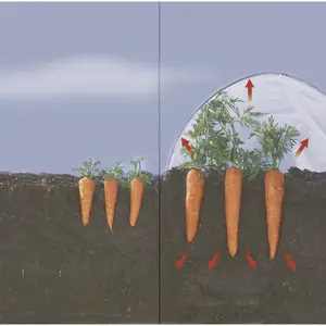 Kit de túnel de empuje Nortene LDPE image-2