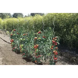 Tutor para tomates espiral galvanizado Nortene image-1