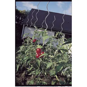 Tutor para tomates espiral galvanizado Nortene image-2