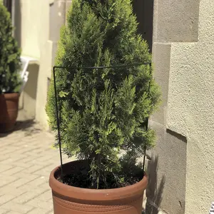 Círculo de plantación de acero para plantas de macizo Nortene Chelsea image-1