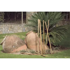 Tutore decorativo para planta de bambú Nortene image-1