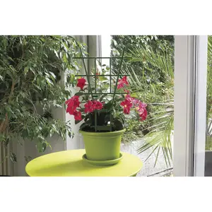 Tutor de planta escalera de plástico para macetas. Nortene image-1