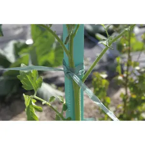 Bobina de rafia sintética Nortene image-1