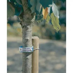 Collar de espuma para árbol Nortene image-1