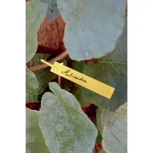 Etichette da appendere con feltro Nortene Tree Label (x40) image-0