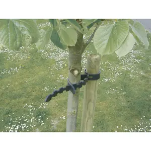 Collar de fijación de árbol de goma Nortene Selfix (x2) image-0