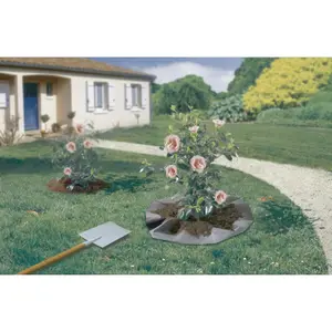 Fieltro de plantación para tierra de brezo Nortene Terraplant image-0