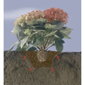 Fieltro de plantación para tierra de brezo Nortene Terraplant image-2