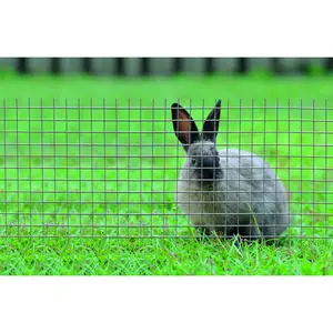 Rejilla metálica galvanizada cuadrada Nortene Fensanet image-2