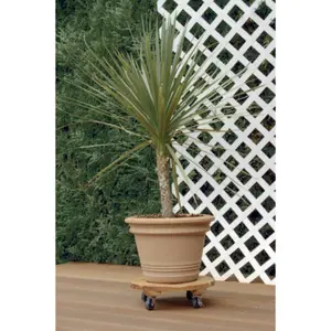 Soporte cuadrado de madera FSC con acabado en lasur Nortene Flora Roll image-2