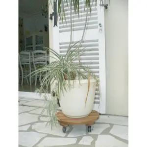 Soporte cuadrado de madera FSC con acabado en lasur Nortene Flora Roll image-5