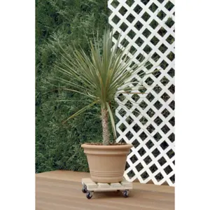 Rodillo de madera FSC barnizado Nortene Flora Roll Autoclaver image-1