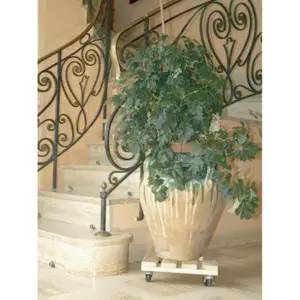 Rodillo de madera FSC barnizado Nortene Flora Roll Autoclaver image-2