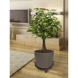 Soporte con ruedas de metal. Nortene Flora Roll image-1