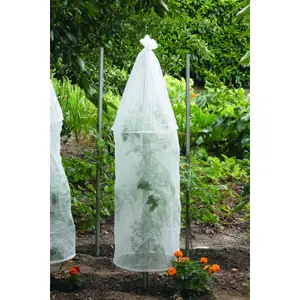 Funda de crecimiento con arcos Nortene Tomato Cover (x3) image-1