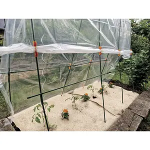 Película de forzado para túnel de tomates LDPE 70 micrones Nortene image-4