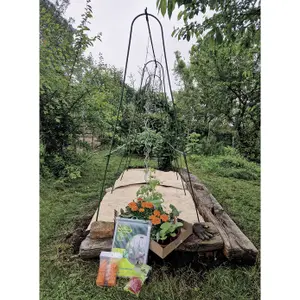 Película de forzado para túnel de tomates LDPE 70 micrones Nortene image-2