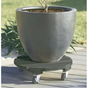 Soporte con ruedas de madera FSC teñido Nortene Flora Roll Color image-1