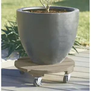 FSC gefärbter Holzrollständer Nortene Flora Roll Color image-0