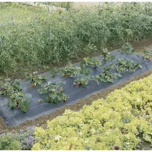 Malla de acolchado especial para fresas Nortene Fresasolt image-0