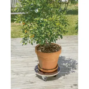 Soporte de madera con ruedas Nortene Flora Roll Strong image-1