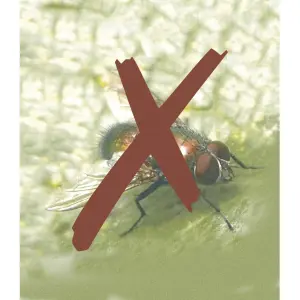 Malla antiinsectos Nortene Biocontrol image-2