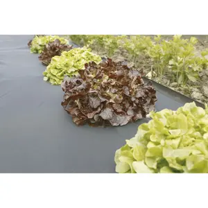 Accesorios de jardinería Nortene Microtex image-0