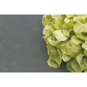 Accesorios de jardinería Nortene Microtex image-3