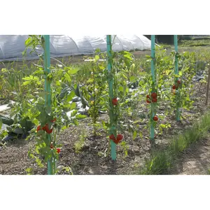 Tutor de tomates de PVC con reserva de agua Nortene Aquamont image-0